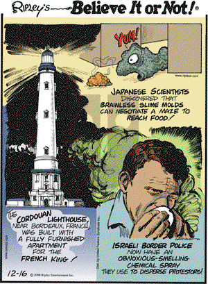 Ripley's Believe It or Not on Tuesday December 16, 2008 Comic Strip