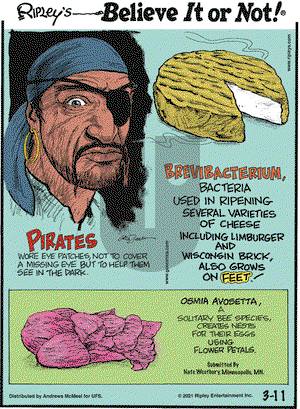 Ripley's Believe It or Not on Thursday March 11, 2021 Comic Strip