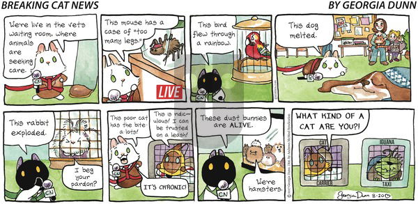 Breaking Cat News on Sunday August 20, 2017 Comic Strip