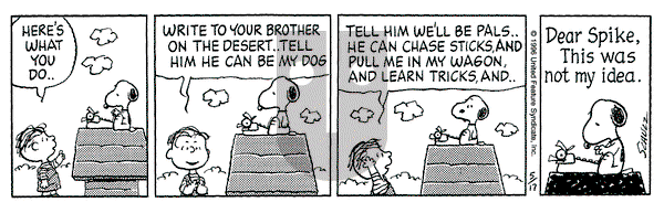 Peanuts - Friday May 17, 1996 Comic Strip