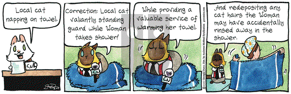 Breaking Cat News on Thursday August 27, 2020 Comic Strip