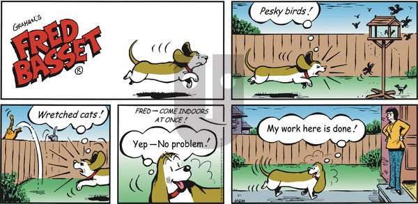 Fred Basset on Sunday September 1, 2019 Comic Strip