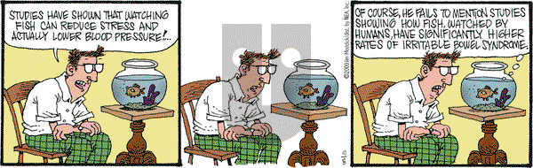 Monty on Thursday October 8, 2009 Comic Strip