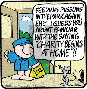 Ziggy - Saturday June 3, 2023 Comic Strip