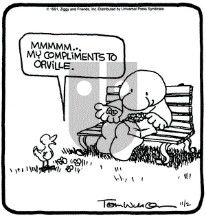 Ziggy on Saturday November 2, 1991 Comic Strip