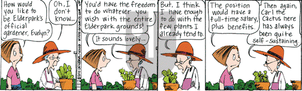 The Elderberries on Wednesday December 3, 2025 Comic Strip