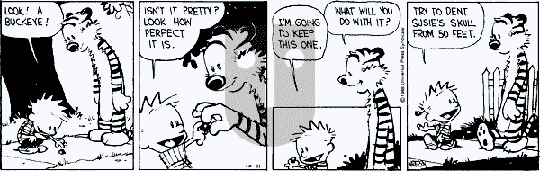 Calvin and Hobbes - Monday October 31, 1988 Comic Strip