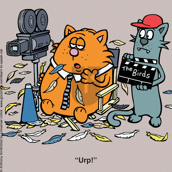 Learn to Speak Cat on Wednesday February 26, 2025 Comic Strip