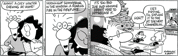 Baby Blues on Saturday December 21, 2002 Comic Strip
