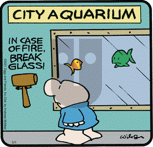 Ziggy on Saturday May 1, 2021 Comic Strip