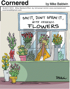 Cornered on Thursday October 29, 2015 Comic Strip