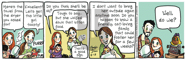 Breaking Cat News on Wednesday February 13, 2019 Comic Strip