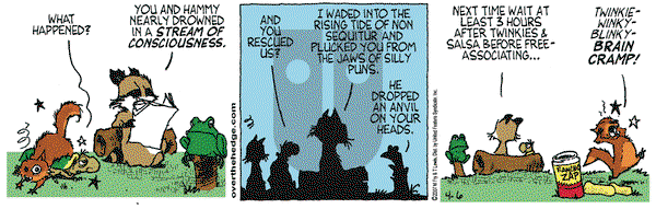 Over the Hedge on Friday April 6, 2007 Comic Strip
