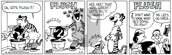 Calvin and Hobbes on Tuesday September 10, 1991 Comic Strip