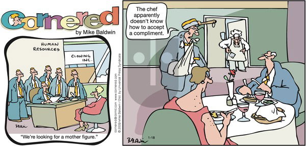 Cornered on Sunday January 18, 2009 Comic Strip