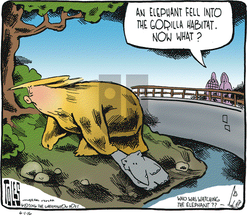 Tom Toles on Wednesday June 1, 2016 Comic Strip