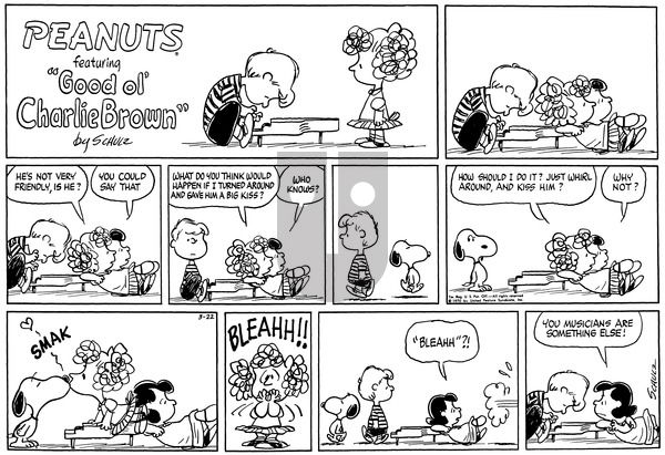 Peanuts on Sunday March 22, 1970 Comic Strip