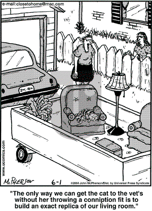 Close to Home on Tuesday June 1, 2004 Comic Strip