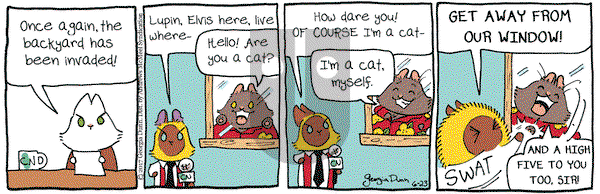 Breaking Cat News on Friday June 23, 2017 Comic Strip