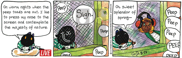 Breaking Cat News on Tuesday May 28, 2019 Comic Strip
