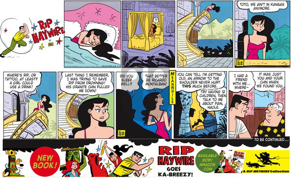 Rip Haywire on Sunday October 25, 2015 Comic Strip