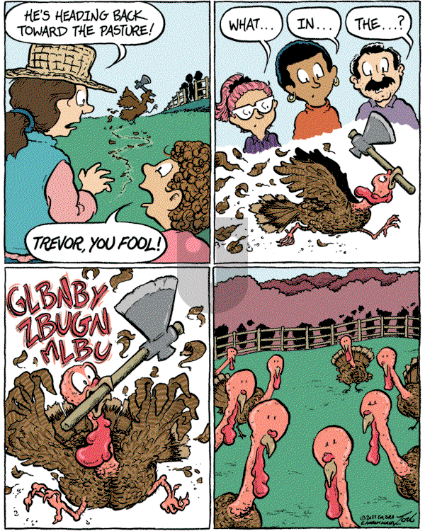 Home Free on Wednesday November 27, 2024 Comic Strip