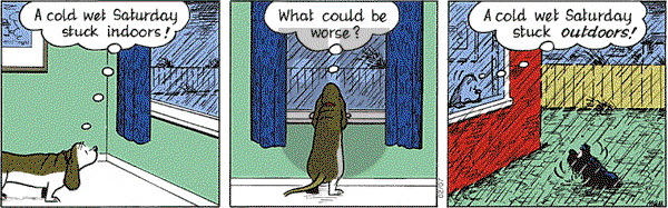 Fred Basset on Saturday February 7, 2004 Comic Strip