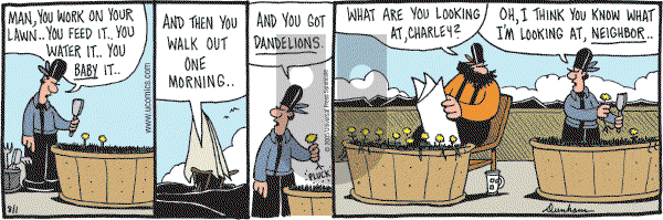 Overboard - Monday August 1, 2005 Comic Strip