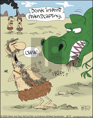 The Flying McCoys on Wednesday March 19, 2025 Comic Strip