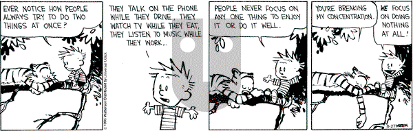 Calvin and Hobbes on Thursday August 27, 2015 Comic Strip