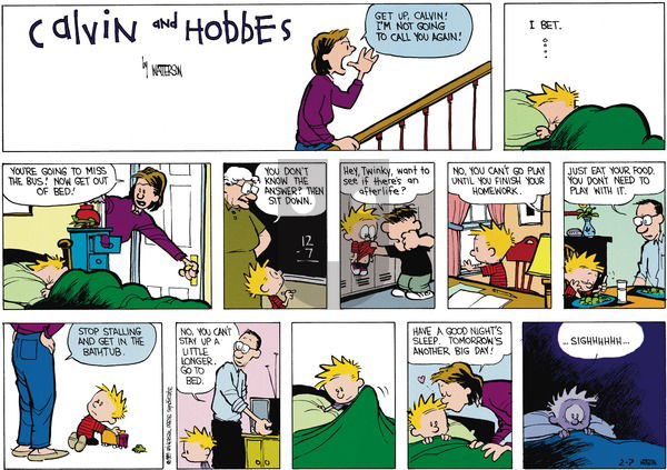 Calvin and Hobbes on Sunday March 26, 1989 Comic Strip
