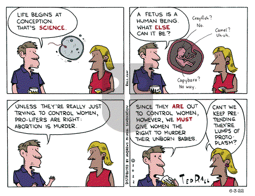 Ted Rall - Friday June 3, 2022 Comic Strip