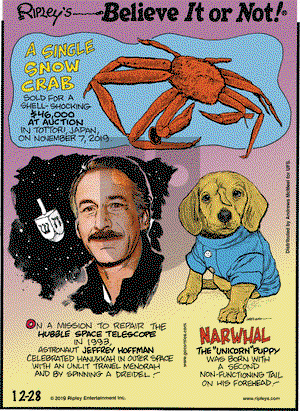 Ripley's Believe It or Not on Saturday December 28, 2019 Comic Strip