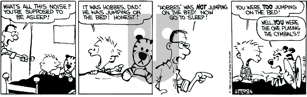 Calvin and Hobbes - Wednesday November 20, 1985 Comic Strip