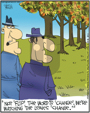 The Flying McCoys on Wednesday November 6, 2019 Comic Strip