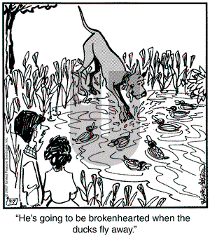 Marmaduke on Friday September 7, 2007 Comic Strip