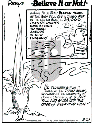 Ripley's Believe It or Not on Monday August 25, 2003 Comic Strip