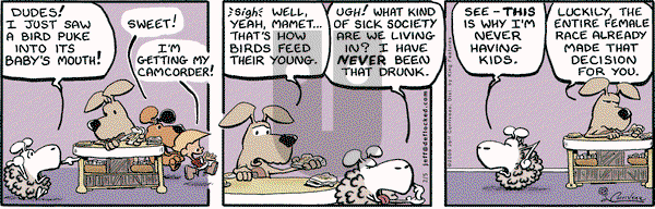 DeFlocked on Thursday February 5, 2009 Comic Strip