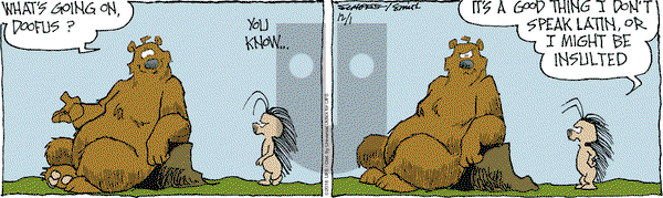 The Grizzwells on Thursday December 1, 2016 Comic Strip