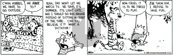 Calvin and Hobbes on Thursday June 21, 1990 Comic Strip