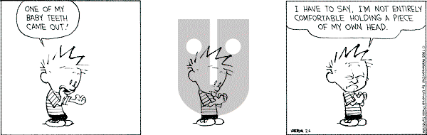Calvin and Hobbes - Monday February 6, 1995 Comic Strip