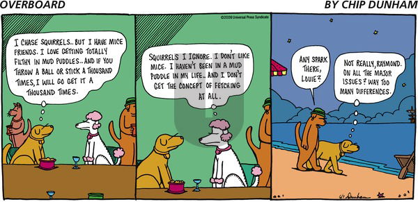 Overboard on Sunday June 7, 2009 Comic Strip