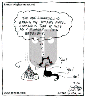 Kit 'N' Carlyle on Wednesday September 26, 2007 Comic Strip