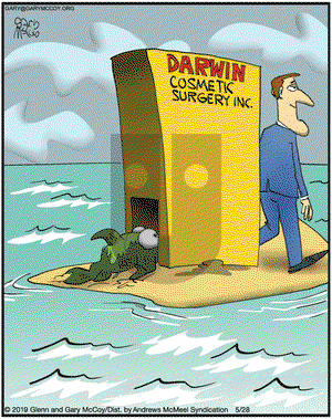 The Flying McCoys on Tuesday May 28, 2019 Comic Strip