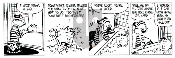 Calvin and Hobbes on Tuesday March 8, 1988 Comic Strip