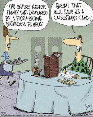 The Flying McCoys on Saturday December 19, 2009 Comic Strip