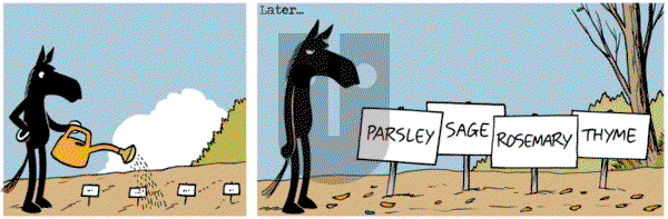 Dark Side of the Horse on Wednesday April 22, 2015 Comic Strip