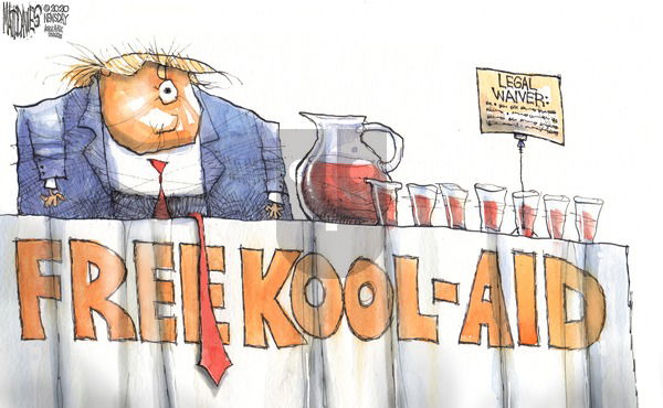 Matt Davies on Sunday June 14, 2020 Comic Strip