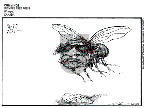 Views of the World on Tuesday March 8, 2011 Comic Strip