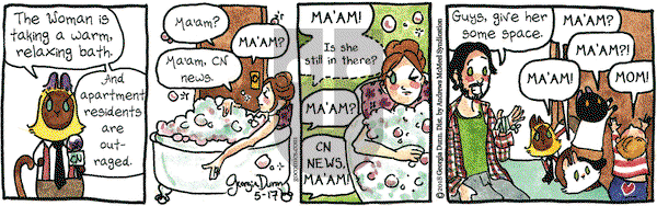 Breaking Cat News on Thursday May 17, 2018 Comic Strip